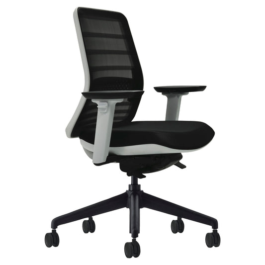 Tonique Ergonomic Home Office Chair