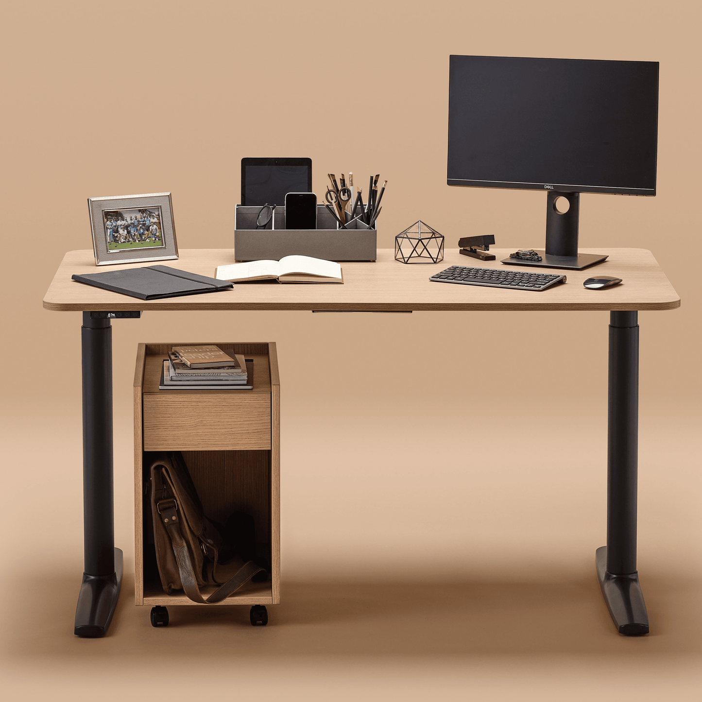 Arise Electric Sit Stand Desk