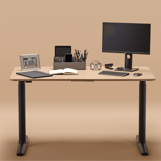 Arise Electric Sit Stand Desk